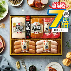 16܂ŁP7{+3{L Ε 2025 n Mtg Zbg [Xn  ۑHi {MO-505 eZbg}wMRDx ~Mtg N N v[g 蕨 HiMtg Ε