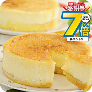 16܂ŁP7{+3{L ΕMtg 2025  Mtg XC[c Zbg lߍ킹 kC \t}[Wu Ⓚ 5000121wSKTx 񂹃O a j j 