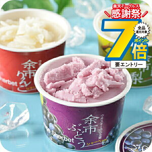 1410`P7{+3{L ΕMtg 2025  Mtg ACX XC[c Zbg lߍ킹 kC ]st[cV[xbg Ⓚ 5000156wSKTx 񂹃O a j