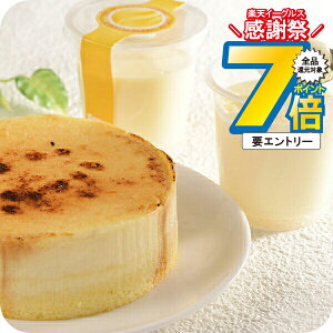 ΕMtg 2025  Mtg v XC[c Zbg lߍ킹 kC \t}[Wut}[Wv Ⓚ 5000172wSKTxΕ a j j 蕨 