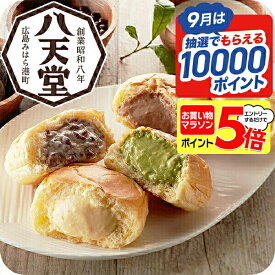 ＼18・19・20日は感謝デー全品★P3倍／ 敬老の日 送料無料 ギフト パン 高級 セット 詰め合わせ 広島「八天堂」フローズン くりーむパン 9個 詰合せ 冷凍便 7340031『SKT』人気 有名店 御歳暮 誕生日 お祝い 内祝い 贈り物 3000円台 敬老の日 お年賀ギフト 2026
