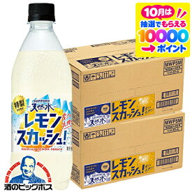 【レモンスカッシュ】【送料無料】サントリー天然水 特製レモンスカッシュ 500ml×2ケース/48本《048》『SUF』