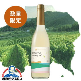 スパークリングワイン 白ワイン 日本ワイン wine サッポロ グランポレール 余市ぶどうのスパークリング 600ml×1本『FSH』