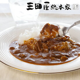 父の日 プレゼント ギフト カレー カレーセット 送料無料 「三田屋総本家」黒毛和牛のハヤシ8食入り ご自宅用 4560075『SKT』 詰め合わせ お取り寄せグルメ セット 誕生日 お祝い 内祝い【内祝い ギフトセット】 父の日 ギフト