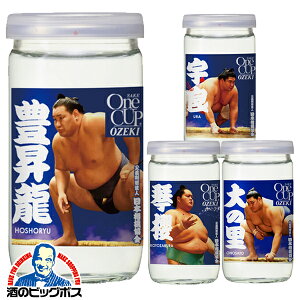 【30本】【本州のみ 送料無料】大関 上撰ワンカップ 大相撲ラベル 180ml瓶×1ケース/30本《030》 日本酒 ワンカップ