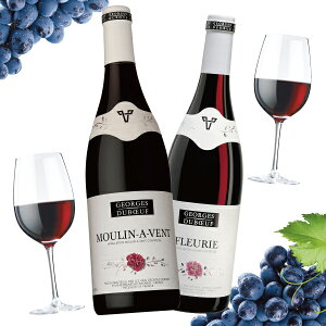 Ε v[g 2025 y{B̂ zC Mtg ݔ Zbg WW fubt ԃC [EiE@/t[[ 2Zbg lߍ킹 j a 蕨