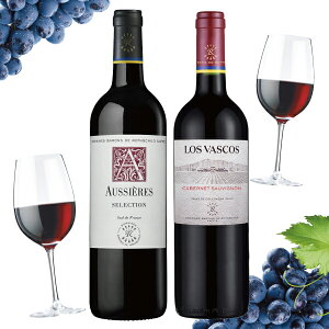 Ε v[g 2025 y{B̂ zC Mtg ݔ Zbg tXE` ԃC 2Zbg I[VG[/X@XRX lߍ킹 j a 蕨 v[g