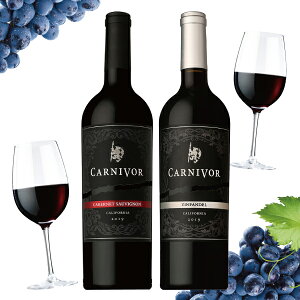 Ε v[g 2025 y{B̂ zC Mtg ݔ Zbg p ԃC J[jH 2Zbg JxlE\[Bj/Wt@f lߍ킹 j a 