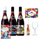 ＼18・19・20日は感謝デー全品★P3倍／ 【予約】【2025年11月20日解禁】【3-B】【景品付き3本】【ボジョレー ヌーボー 2025】ジョルジュ デュブッフ ボジョレーヌーヴォー 750ml ＆ ヴィラージュ 750ml ＆ セレクションプリュス 750ml 【本州のみ 送料無料】