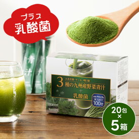 青汁 乳酸菌 粉末タイプ 送料無料 3種の九州産野菜青汁＋乳酸菌 3g×20袋×5個/計100袋(005)