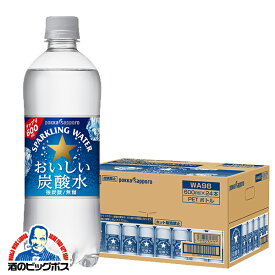 炭酸水 タンサン 送料無料 ポッカサッポロ おいしい炭酸水 600ml×1ケース/24本(024)