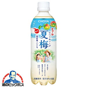 �Y�_���� ���Y���~�h�����N �y�b�g�{�g�� �������� CHOYA �`���[�� �Ĕ~�\�[�_ 500ml×2�P�[�X/48�{�s048�t�wFSH�x