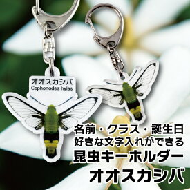 楽天市場 オオスカシバの通販