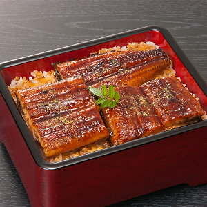 ΕMtg 2025  V EiM Ȃ Mtg Zbg lߍ킹 {uVyvȂĐؐg 200g Ⓚ 0130317wSKTx 񂹃O a j j 蕨 