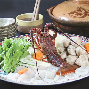 ΕMtg 2025  Mtg @ጎv͂ƈɐт̓ Ⓚ 2940116wSKTx lߍ킹 񂹃O Zbg a j j 蕨 