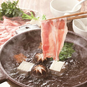 ubNtCf[ 25聚P5{ ΕMtg 2025  Mtg   Od |[NԂԗⓀ 3070029wSKTx lߍ킹 񂹃O Zbg a j j 