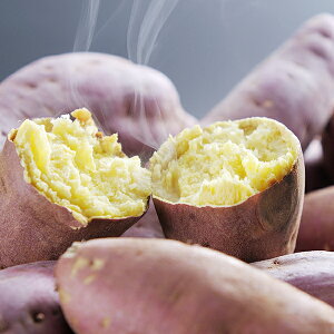 ubNtCf[ 23聚P5{ ΕMtg 2025  Mtg Ă  C F{ pug͂邩vⓀ 3170010 wSKTx lߍ킹 񂹃O Zbg a j 