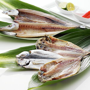 ΕMtg 2025  Mtg  É ÁuavY Ⓚ 3440246wSKTx lߍ킹 񂹃O Zbg a j j 蕨 3000~ 