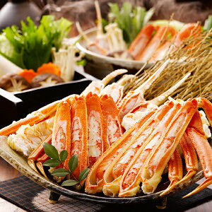 ΕMtg 2025  Mtg I Jj {C킢ɋr Ⓚ 3440530wSKTx lߍ킹 񂹃O Zbg a j j 蕨 