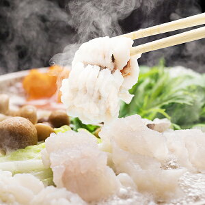 ΕMtg 2025  Mtg  Zbg 啪 ͂ Ⓚ 4660032wSKTx lߍ킹 񂹃O Zbg a j j 蕨 