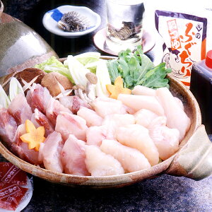 ΕMtg 2025  Mtg  Zbg CYӂ Ⓚ 4660068wSKTx lߍ킹 񂹃O Zbg a j j 蕨 