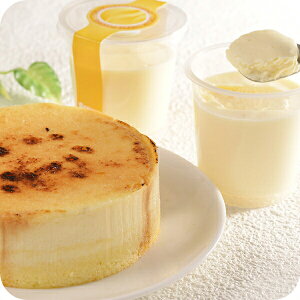 ΕMtg 2025  Mtg v XC[c Zbg lߍ킹 kC \t}[Wut}[Wv Ⓚ 5000172wSKTxΕ a j j 蕨 