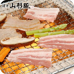 ΕMtg 2025  Mtg Zbg lߍ킹 R` R`HДF R` oē 1kg Ⓚ 7240157wSKTx 񂹃O a j j 蕨 