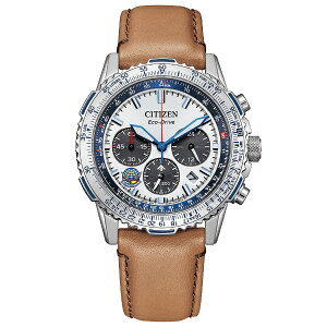 yIm1/2|CgobNCPzybsOΏۏizCITIZEN PRO MASTER V`Y v}X^[ SKY 胂f500{ Blue Impulse u[CpX Yrv CA4661-09A