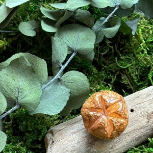 y|CgobNCPzcu-mu N {̂ ߂u[` #01 ST-021