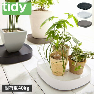 tidy PLANTABLE eBfB v^[X^h M  v^u  LX^[t ubN zCg uE   OT-668-100
