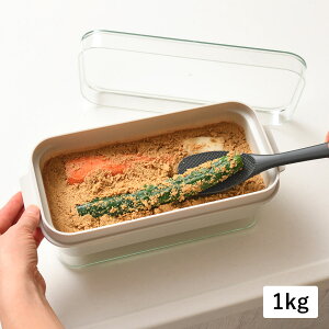 Leye CG ʂЂe ۑe ʂǂ{bNX 1kg  t LES3201