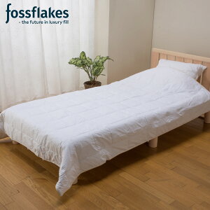 fossflakes X[p[Lg tHXtCNX |zc LgPbg VO ėp ӂƂ 􂦂 EHbVu ېOK FF-150S