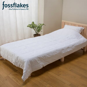 fossflakes X[p[Lg tHXtCNX |zc LgPbg Z~_u ėp ӂƂ 􂦂 EHbVu ېOK FF-170SD