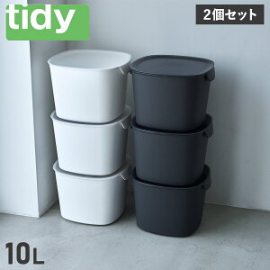tidy BUCKET CONTAINER eBfB oPbgRei[ [{bNX P[X Rei 2Zbg t^t 10L CE-666-201