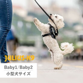 【最大1000円OFFクーポン配布中】 Julius-K9 IDCパワーハーネス ユリウスK9 ハーネス ベルト 小型犬 ユリウスケーナイン 胴輪 歩行補助