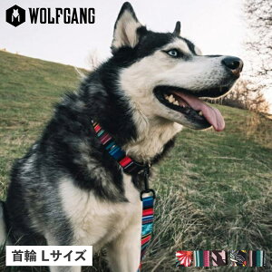 WOLFGANG COLLAR EtMO  ^p LTCY ֌ }&r[Xg MAN&BEAST