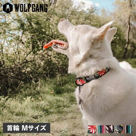 【最大1000円OFFクーポン配布中】 WOLFGANG COLLAR ウルフギャング 首輪 中型犬 Mサイズ マルチカラー