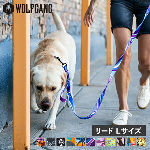 WOLFGANG LEASH EtMO [h ^ ^ LTCY [V