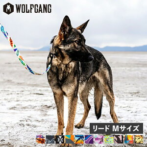 WOLFGANG LEASH EtMO [h ^ ^p MTCY [V