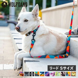 WOLFGANG LEASH EtMO [h ^p STCY [V