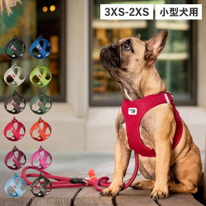 Curli CLASP VEST AIR MESH HARNESS カーリー ハーネス エアメッシュ ベスト クラスプ 3XS-S 小型犬対応 胴輪 歩行補助