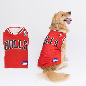 NBA Chicago Bulls Gkr[G[  hbOEFA ybg ^p NBA W[W[ CJ[Y jz[ uh bh BA243-023-010