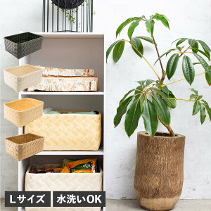 Timb. N^O S eB oXPbg [  P[X {bNX  LTCY  ɋ 􂦂 X^bNXg[ stacksto