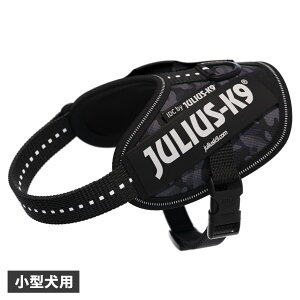 Julius-K9 IDC Powerharness EXK9 n[lX IDCp[n[lX xg ^ EXP[iC  s⏕ ubN  24IDCK9-NICAM