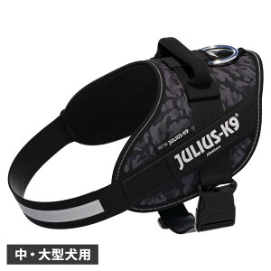 Julius-K9 IDC Powerharness EXK9 n[lX IDCp[n[lX xg ^ ^ EXP[iC  s⏕ ubN  24IDCK9-NICAM