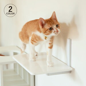 animacolle Aj}R LbgXebv Lbg^[ { S Ǖt I  L ˂ RpNg DIY zCg NA 