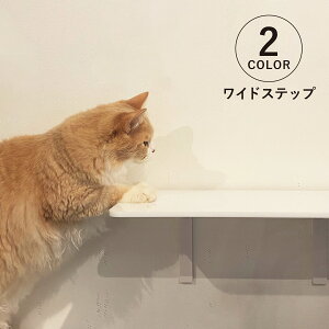 animacolle Aj}R LbgXebv Lbg^[ ChXebv { S Ǖt I  L ˂ RpNg DIY zCg NA 