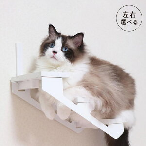 animacolle Aj}R LbgXebv Lbg^[ Lbg_[ /E { S Ǖt I  L ˂ RpNg DIY zCg 