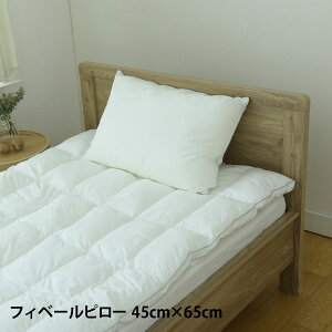 【最大1000円OFFクーポン発行中】 Danfill ダンフィル 枕 寝具 フィベールピロー 洗える 丸洗い対応 通気 ホテル仕様 ウォッシャブル JPA221