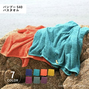 yő1000~OFFN[|sz IKEUCHI ORGANIC BAMBOO 540 CPE`I[KjbN ^I oX^I ou[540  唻 炩 z { lCr[ Cbh O[ IW p[